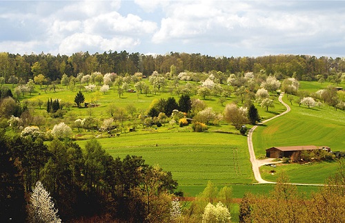 Agroforst_Landschaf